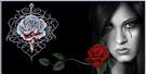 عـ ــاشقتم خـ ـــــــــــــدا