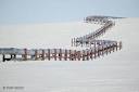 Alaskan Pipeline | Detect Energy