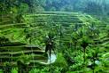 Bali Tours &amp; Bali Travel Guide
