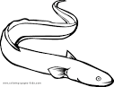 Eel coloring page