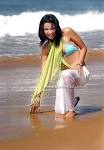 Shruti Seth: June 2010