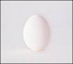 A Ghost Is Born - Wilco | AllMusic