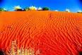 Great Victoria Desert