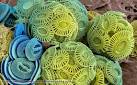 BBC Nature - Coccolithophores videos, news and facts