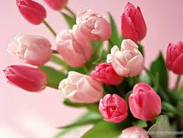 images?q=tbn:ANd9GcS