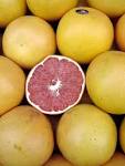 File:Pomelos - Grapefruits.jpg - Wikipedia