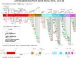 Andogen Receptor Mutations Database Home Page