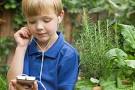 IPod touch and Zune HD have a