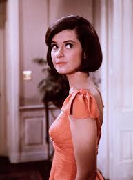 Diane Baker - Über diesen Star - Star - Cinema. - 2137405,FjlKnVTxRs9ZGCemmgfNfQwreNAUNV9AidPnJaiM84P7Y6ndrWVt3TSkakTsbdK0YDjzV1xJTYwtQa_3w1eR_w==