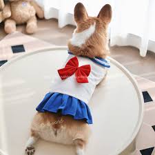 牝犬　コスプレ|Yahoo!ショッピング - Yahoo! JAPAN