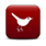 Follow Sálmara on Twitter