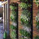 Garden Design Galleries: Vertical Gardening Ideas