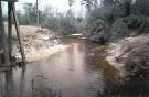 Cypress Creek near Janice