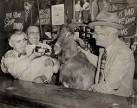 Steve Bartman and the Curse of the Billy Goat « Dan The Man Trivia