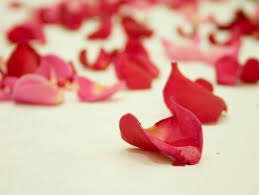 http://t2.gstatic.com/images?q=tbn:ANd9GcSUeHu2DNsYqw_QOOO87tlBKzLWcjRQGFg18t66jqGqs00ReWRzaQ