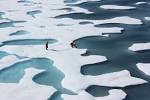 Ponds on the Ocean - via Daymix