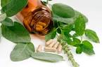 Tips for how to use homeopathy in your family