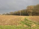 near to Northorpe, Lincolnshire, Great Britain. Farmland near Math Wood - via Daymix