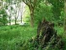 Explosion site, The Warren, - via Daymix