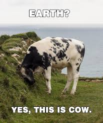 [User Posted Image]