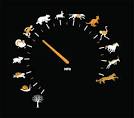 Image As Fast Picture