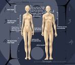 Human Anatomy Study by ~jcevil on deviantART