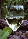 French wine guide - wine regions of France