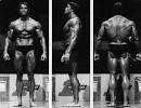 Bodybuilding | Global Arnold