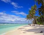 Sunny Hawaiian Beach 3 - Hawaiian Music and Culture from Wiliama