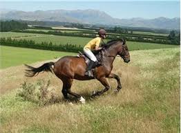 Fun & Info @ Keralites.net