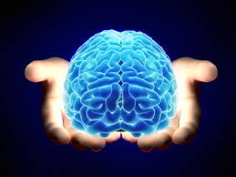 fundamentos de neurociencias