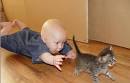 animals amazing images