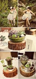 *REAL WOOD SLICES* Centerpieces/ Decor /Cake-Cupcake-Pie Stands :  wedding Cake Cupcake Pie Stands :  Wedding Images?q=tbn:ANd9GcSWf5YweEZYOBwf3T1r9ia9lyzVgScRff6rq02JKe9lR51GNPZ6    *REAL WOOD SLICES* Centerpieces/ Decor /Cake-Cupcake-Pie Stands :  wedding Cake Cupcake Pie Stands :  Wedding Images?q=tbn:ANd9GcSWf5YweEZYOBwf3T1r9ia9lyzVgScRff6rq02JKe9lR51GNPZ6   *REAL WOOD SLICES* Centerpieces/ Decor /Cake-Cupcake-Pie Stands :  wedding Cake Cupcake Pie Stands :  Wedding Images?q=tbn:ANd9GcSWf5YweEZYOBwf3T1r9ia9lyzVgScRff6rq02JKe9lR51GNPZ6  *REAL WOOD SLICES* Centerpieces/ Decor /Cake-Cupcake-Pie Stands :  wedding Cake Cupcake Pie Stands :  Wedding Images?q=tbn:ANd9GcSWf5YweEZYOBwf3T1r9ia9lyzVgScRff6rq02JKe9lR51GNPZ6 *REAL WOOD SLICES* Centerpieces/ Decor /Cake-Cupcake-Pie Stands :  wedding Images?q=tbn:ANd9GcSWf5YweEZYOBwf3T1r9ia9lyzVgScRff6rq02JKe9lR51GNPZ6    
