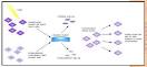 Radiation Hybrid Mapping - Biology Encyclopedia - cells, body ...