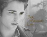 Sick, Masochistic Lion - Twilight Series Wallpaper (2633580) - Fanpop