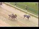 1988 Breeders' Cup Distaff