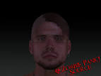 /mods/zombie-panic-source/