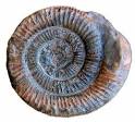 Chance structure makes carbon dating possible - physicsworld.