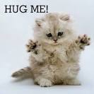 How to Pamper Your Cat on National Hug Your Cat Day