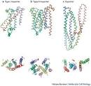 Figure 3 : ABC transporters: the power to change : Nature Reviews ...