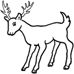 Deer coloring page