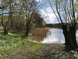 der Kleine Pönitzer See