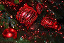 Top 10 Foodie Holiday Wishlist » Bay Area Bites | KQED Food