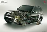 car animal