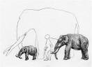 Dinosaurs and the island rule: The dwarfed dinosaurs from Haţeg ...