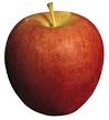 Blog de lacuisinedelirilou : La cuisine de Lirilou, Pomme de Reinette et Pomme d'Api...