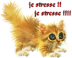Accueil