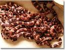 Corn Snake: Page 4