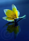 90+ Stunning Reflection Photography (