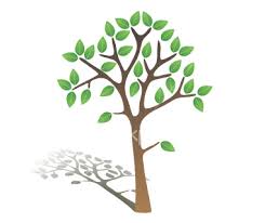 The Springtree Company
